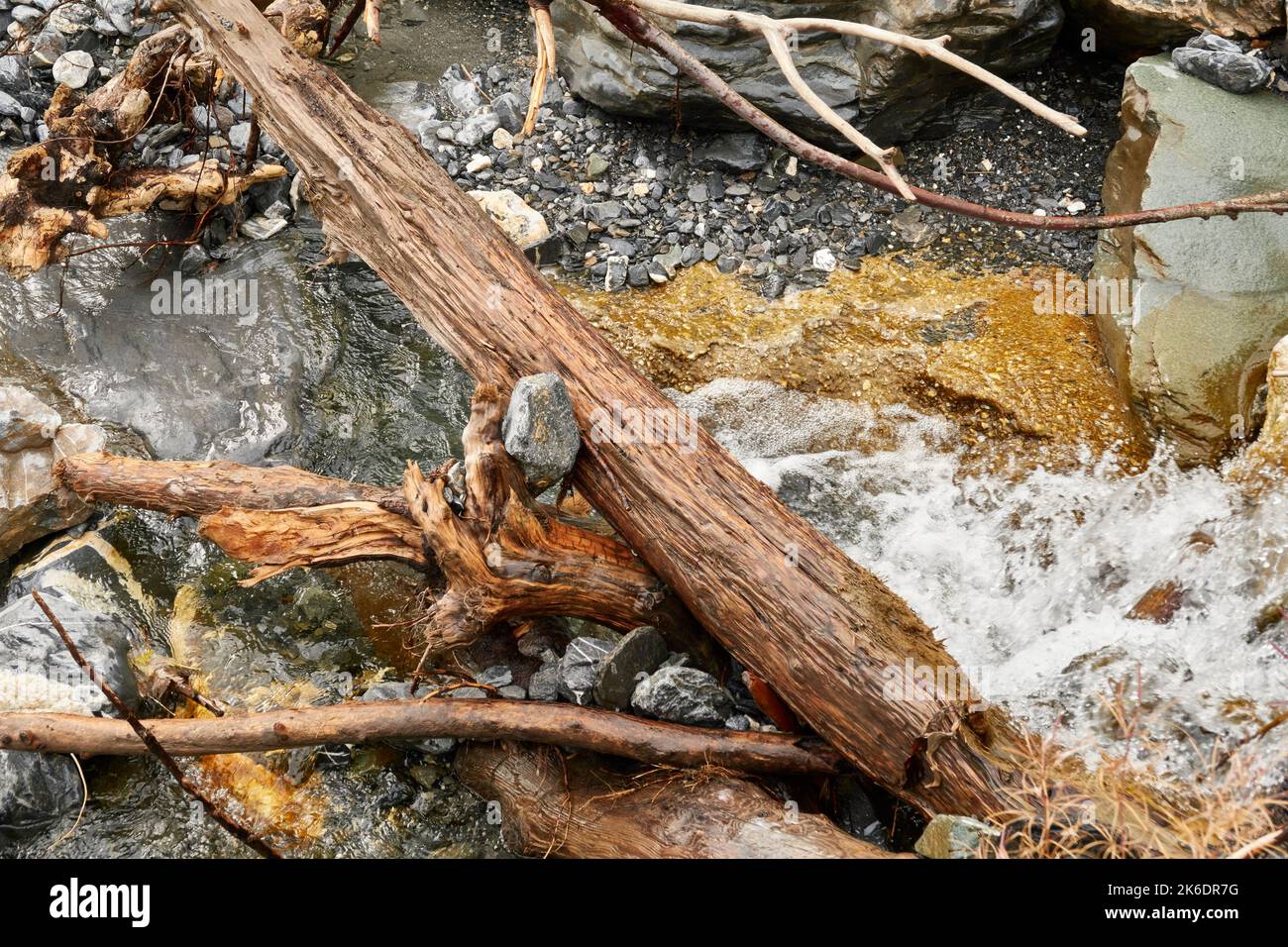 Eine Nahaufnahme eines Holzstückes, das in einem Flussbett mit nassen Felsen liegt Stockfoto