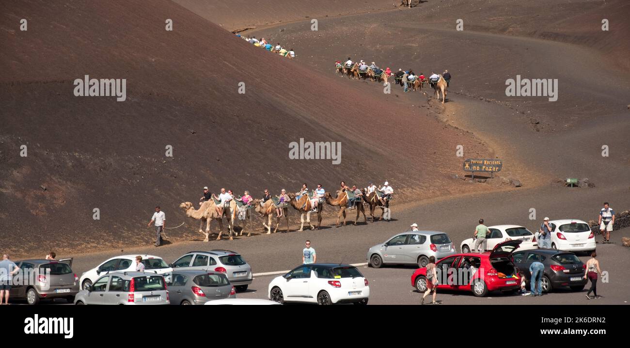 Kamelreiten, Nationalpark Timanfaya, Lanzarote, Kanarische Inseln. Mehrere hundert Kamele werden in der Gegend von Timanfaya gehalten und zum Kamelreiten verwendet Stockfoto