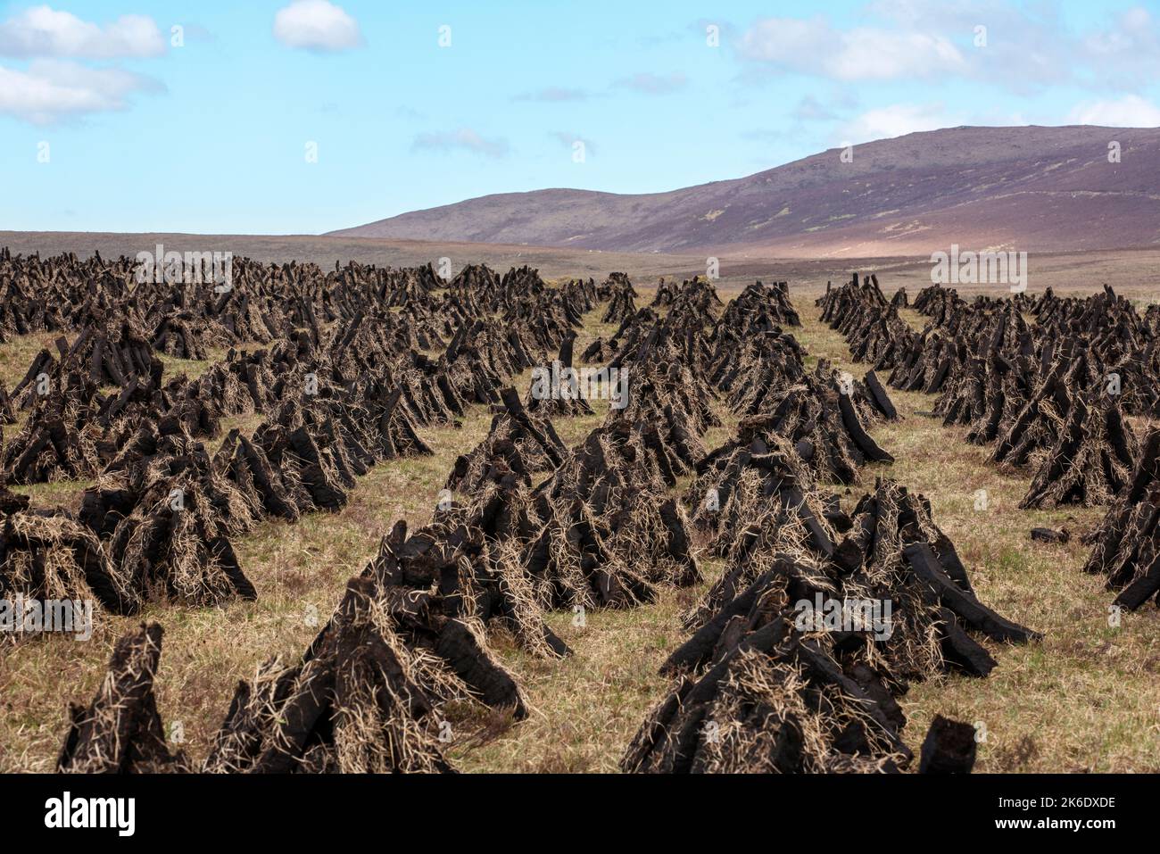 Maschinell geschnittener Rasen trocknet in der riesigen Landschaft des Nordwestirlands. Stockfoto