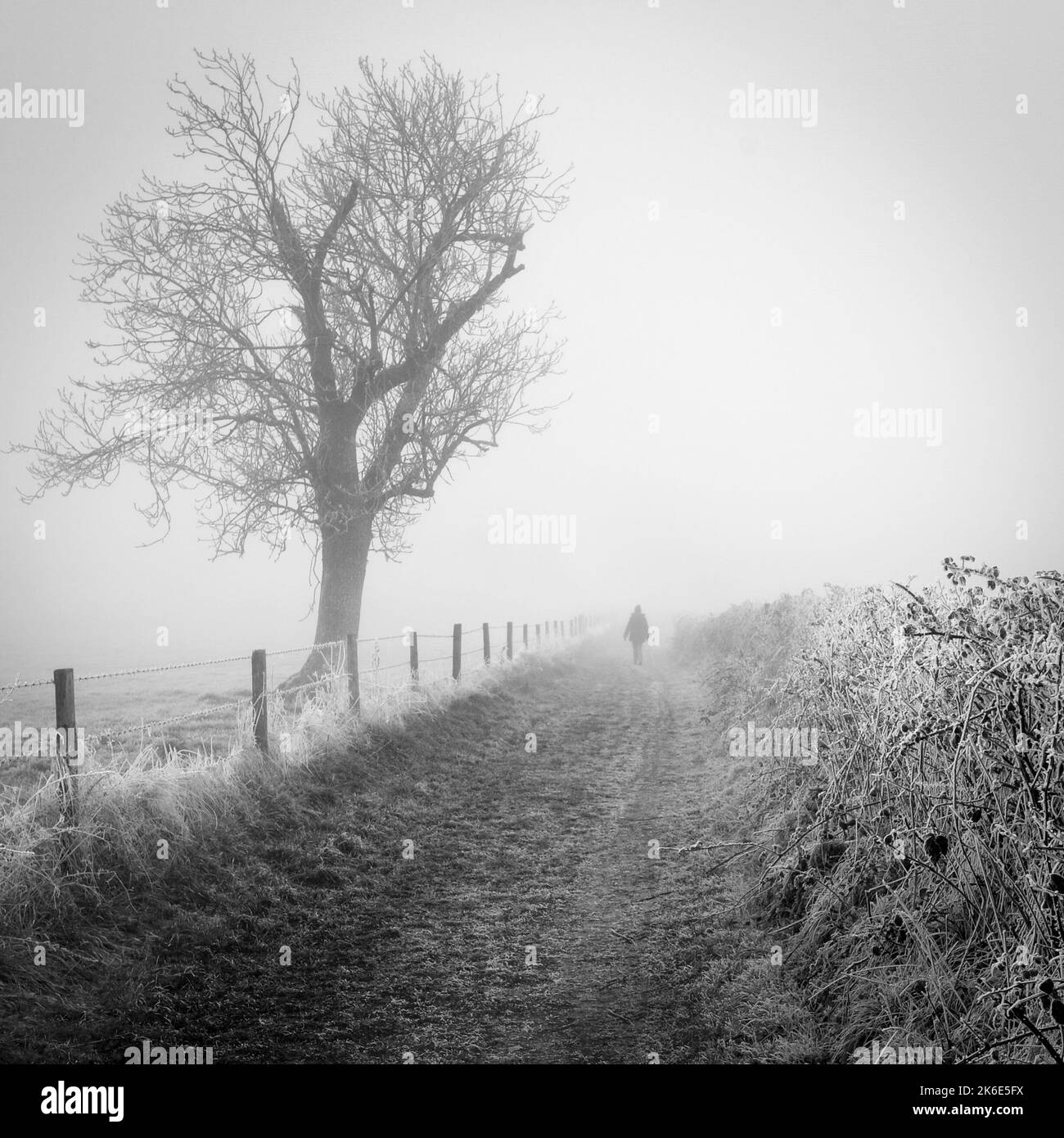 Weit entfernte Figur, die in Nebel, Nebel und Frost auf dem Landweg läuft, Januar, Winter, Großbritannien, Schwarz und Weiß. Stockfoto