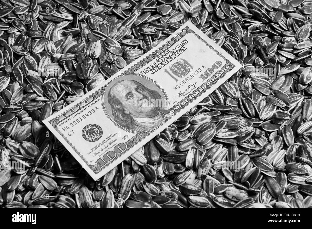 Dollar-Banknoten und Sonnenblumenkerne, olaginöses Warenwertkonzept. Stockfoto
