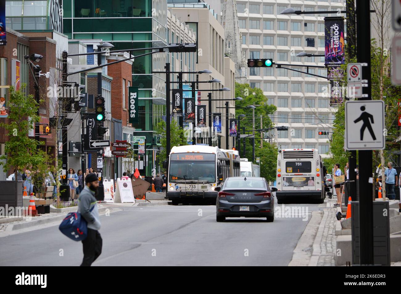 Autos und Busse (Halifax Transit Route 1) auf der kommerziellen Einkaufsstraße Spring Garden in Halifax, Nova Scotia, Kanada Stockfoto