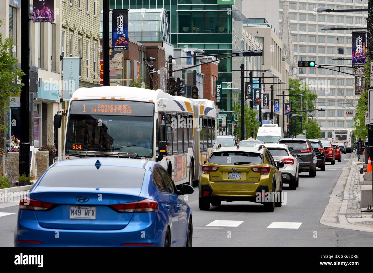 Autos und Busse (Halifax Transit Route 1) auf der kommerziellen Einkaufsstraße Spring Garden in Halifax, Nova Scotia, Kanada Stockfoto