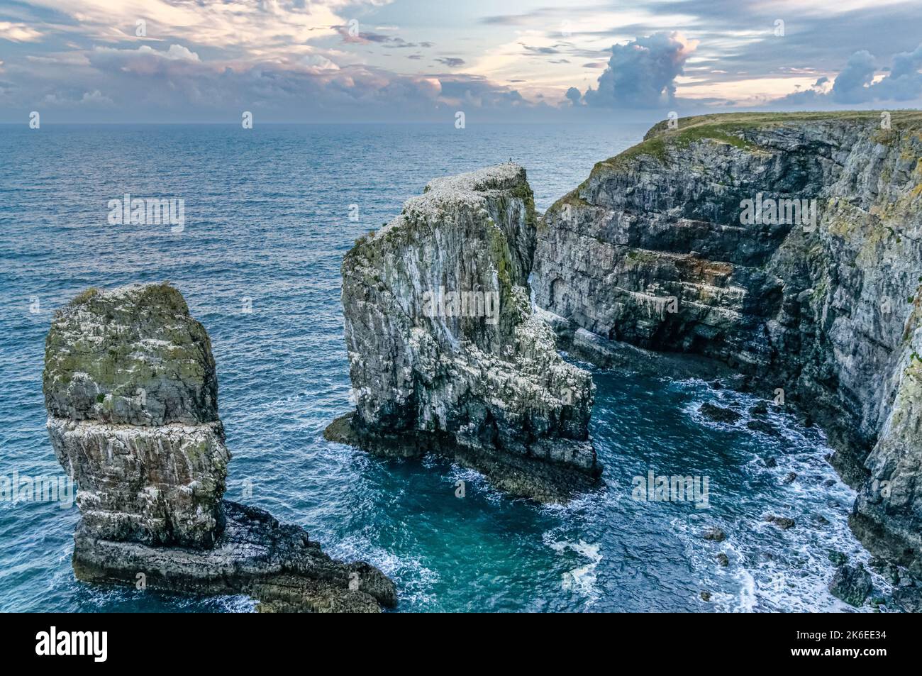 Elegug Stacks an der walisischen Küste im Pembrokeshire Coast National Park, Wales, Großbritannien Stockfoto Elegug Stacks an der walisischen Küste im Pembrokeshire Coast National Park, Wales, Großbritannien Stockfoto