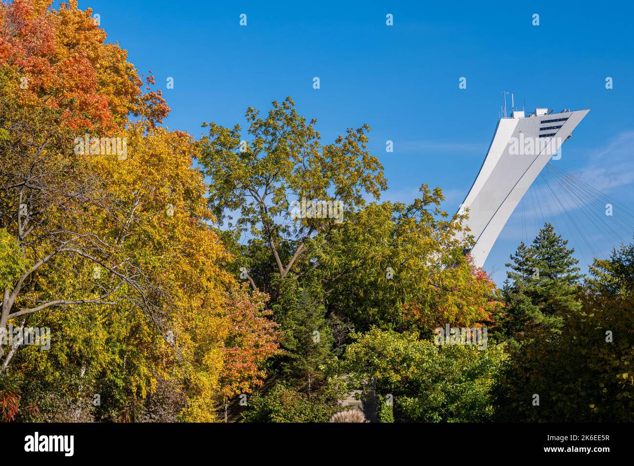 Turm des Olympiastadions von Montreal mit Bäumen in Herbstfarben Stockfoto