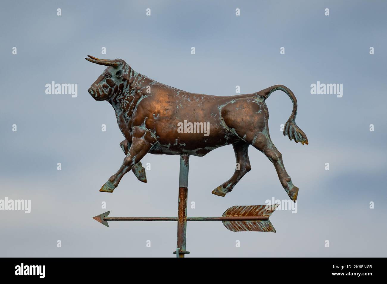 Ein Metallbulle mit Wettervane, der symbolisch für eine Hausse an den Aktienmärkten steht Stockfoto