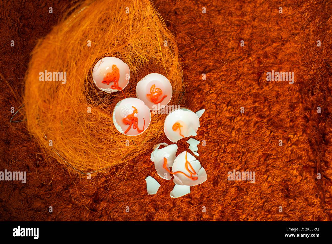 Eier auf orangefarbenem Hintergrund. Stockfoto