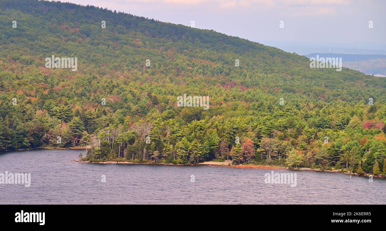 Acadia National Park, Maine, USA. Der frühe Herbst beginnt sich in den Bäumen über dem Eagle Lake zu zeigen. Stockfoto