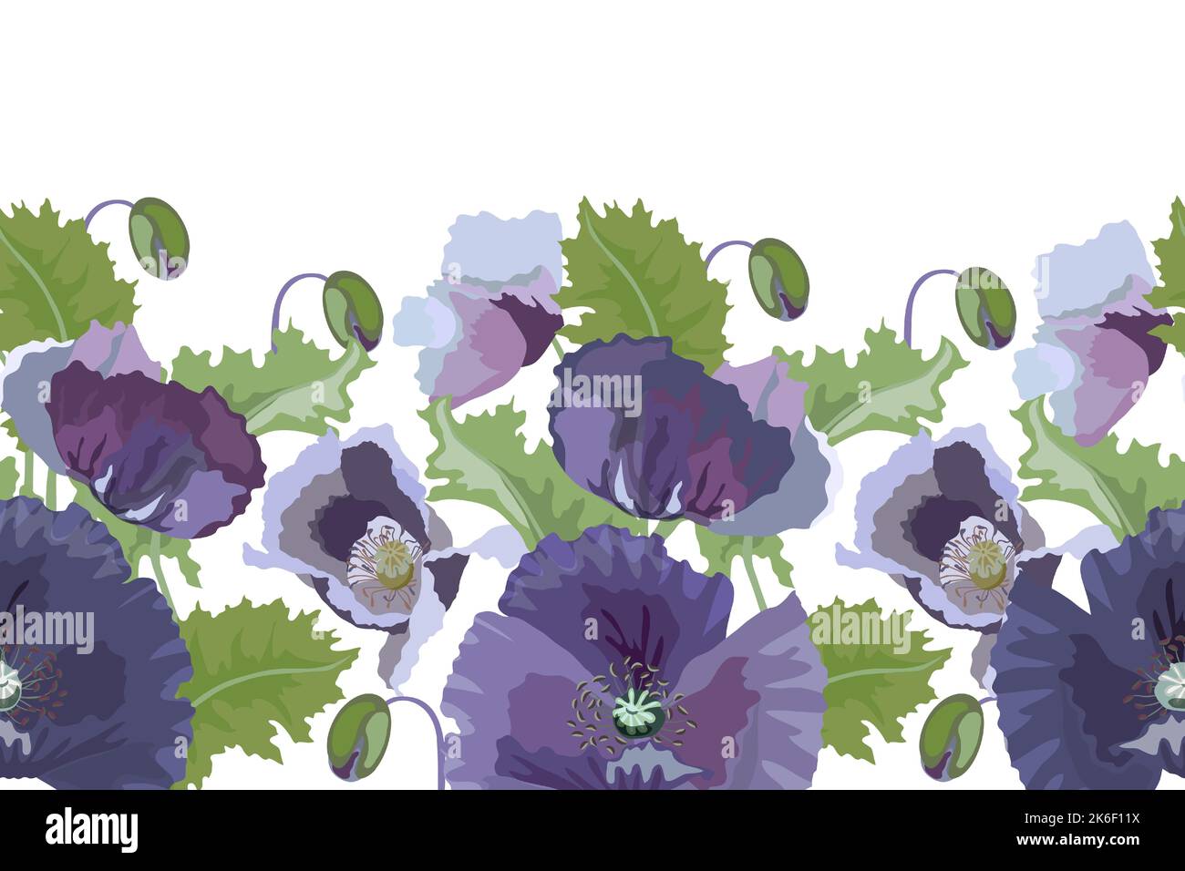 Vektor florales Nahtloses Muster, Rand. Lila Mohnblumen, grüne Blätter und Knospen auf weißem Hintergrund. Stock Vektor