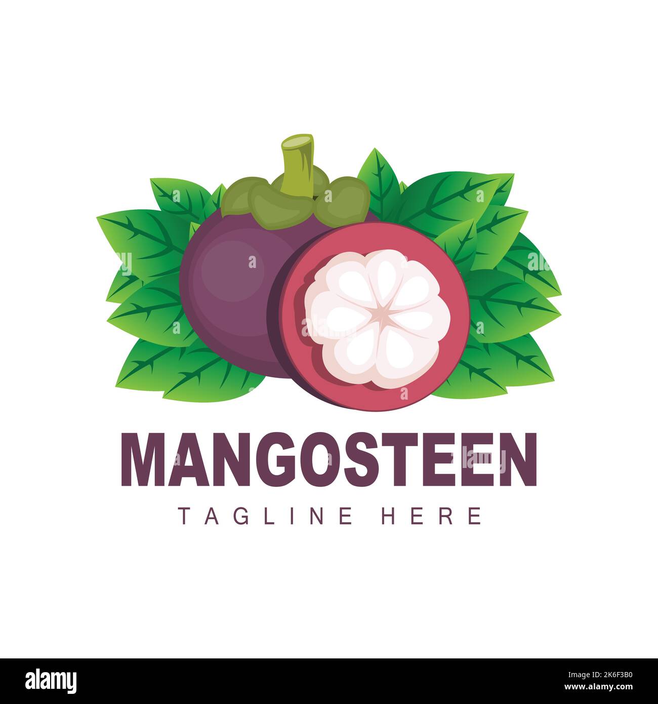 Mangosteen Logo Design, Fresh Fruit Vector für die Hautgesundheit, Fruit Shop Markenillustration und natürliche Hautmedizin Stock Vektor