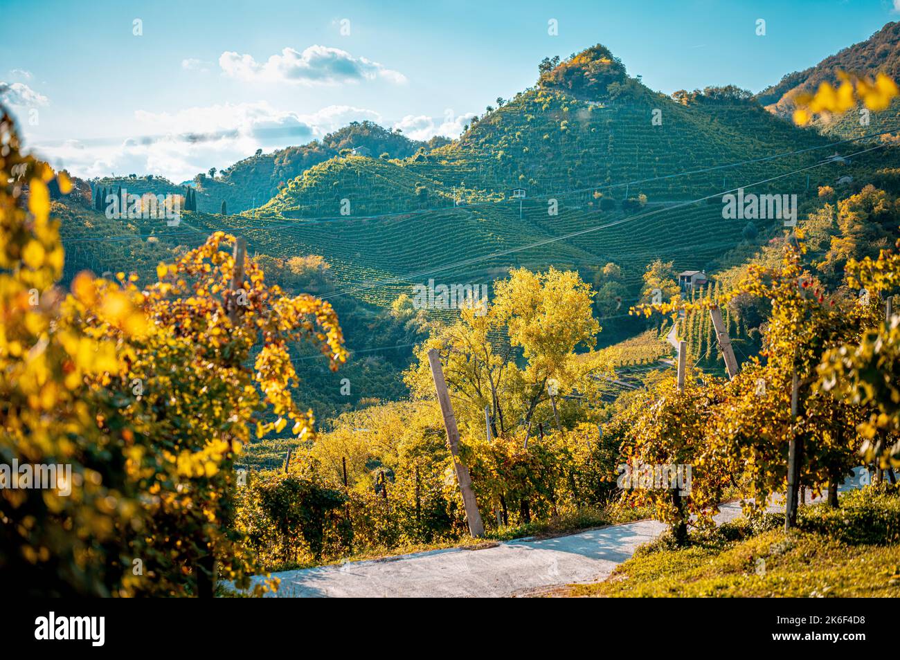 Conegliano Valdobbiadene Weinberge und Hügel im Herbst. Italien Stockfoto