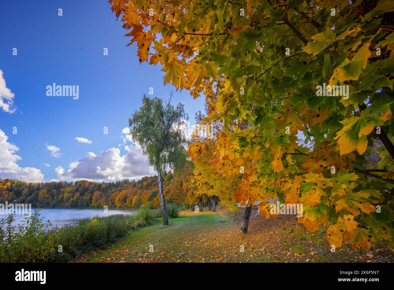 Buntes Herbstlandschaftspanorama in Birstonas, Litauen Stockfoto