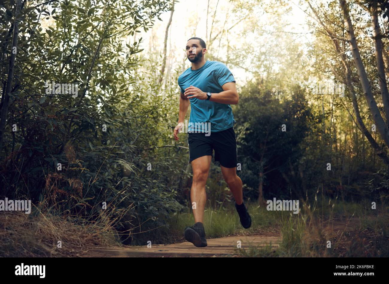 Fit Mann, Natur laufen im Wald und laufen für Herz-Kreislauf-Gesundheit oder Körper Wellness vorbei an grünen Bäumen. Sportläufer, Cardio-Fitnesstraining und Stockfoto