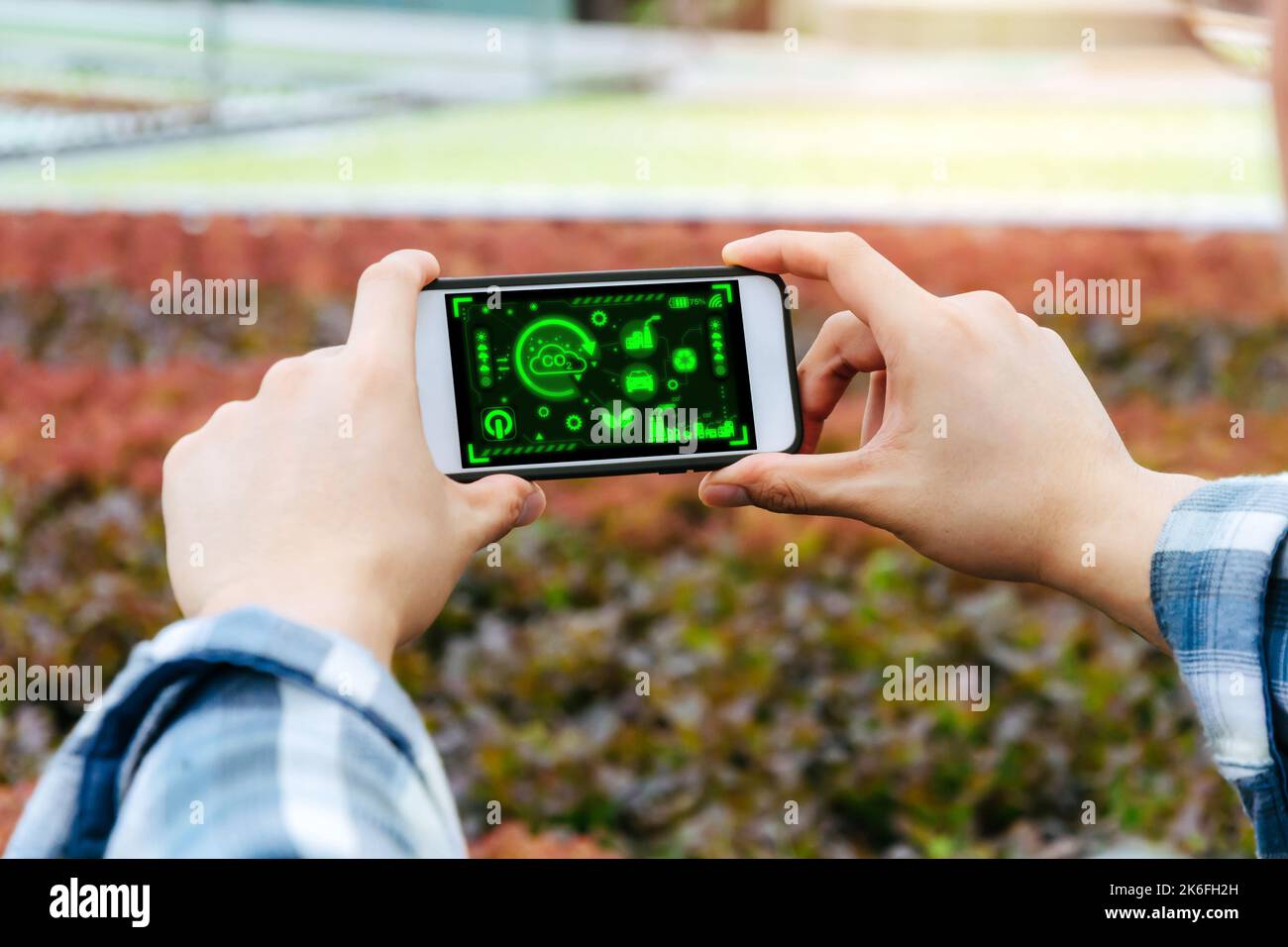 Agronom Farmer Hände mit digitalen Handy-Analyse-Daten Entwicklung in hydroponic Gewächshaus Garten Baumschule, Smart Farming, Digita Stockfoto