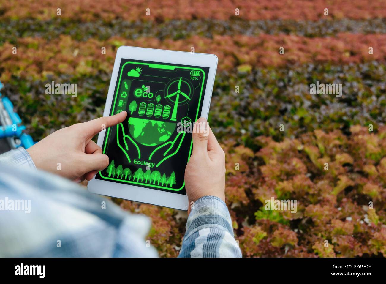 Agronom Landwirt Hand mit mobilen Tablet-Computer-Analyse-Datenentwicklung in hydroponischen Gewächshaus Garten Baumschule Farm, Smart Farming, digital tec Stockfoto
