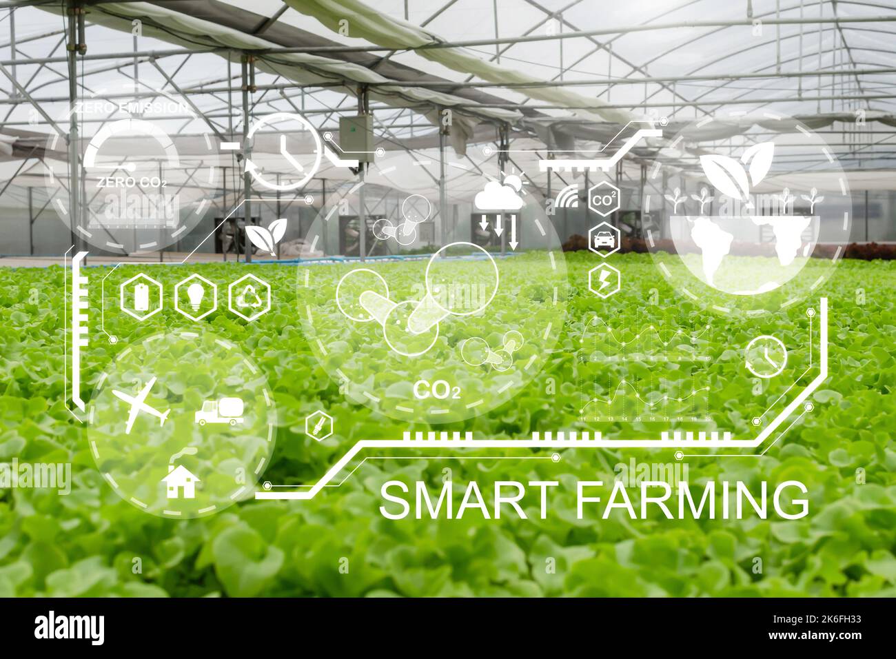 Intelligente Landwirtschaft. Indoor Bio hydroponic frischen grünen Salat Gemüse produzieren in Gewächshaus Garten Baumschule mit visuellen Symbol, Landwirtschaft Busine Stockfoto