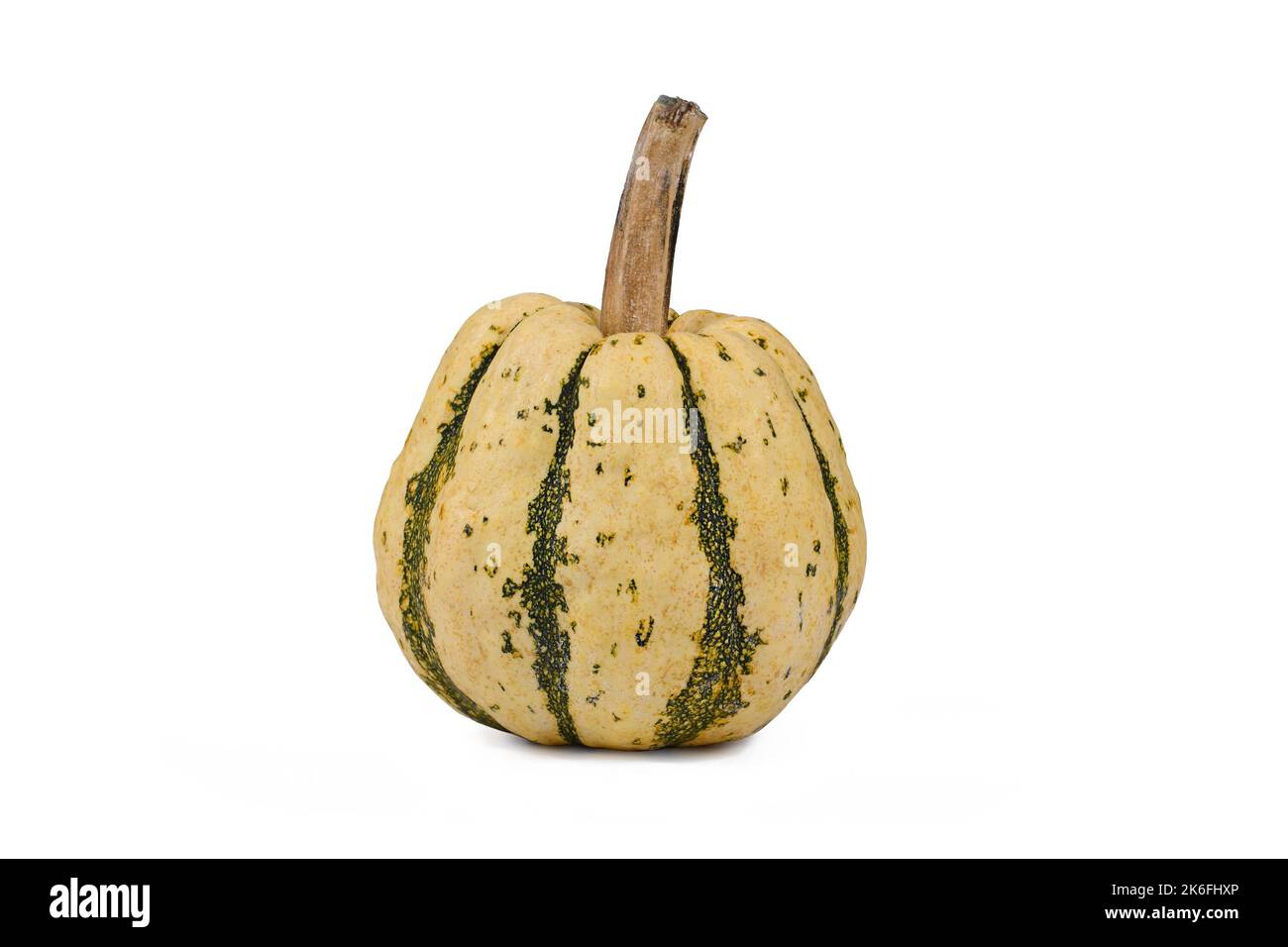 Single Sweet Dumpling Squash mit grünen Streifen auf weißem Hintergrund Stockfoto