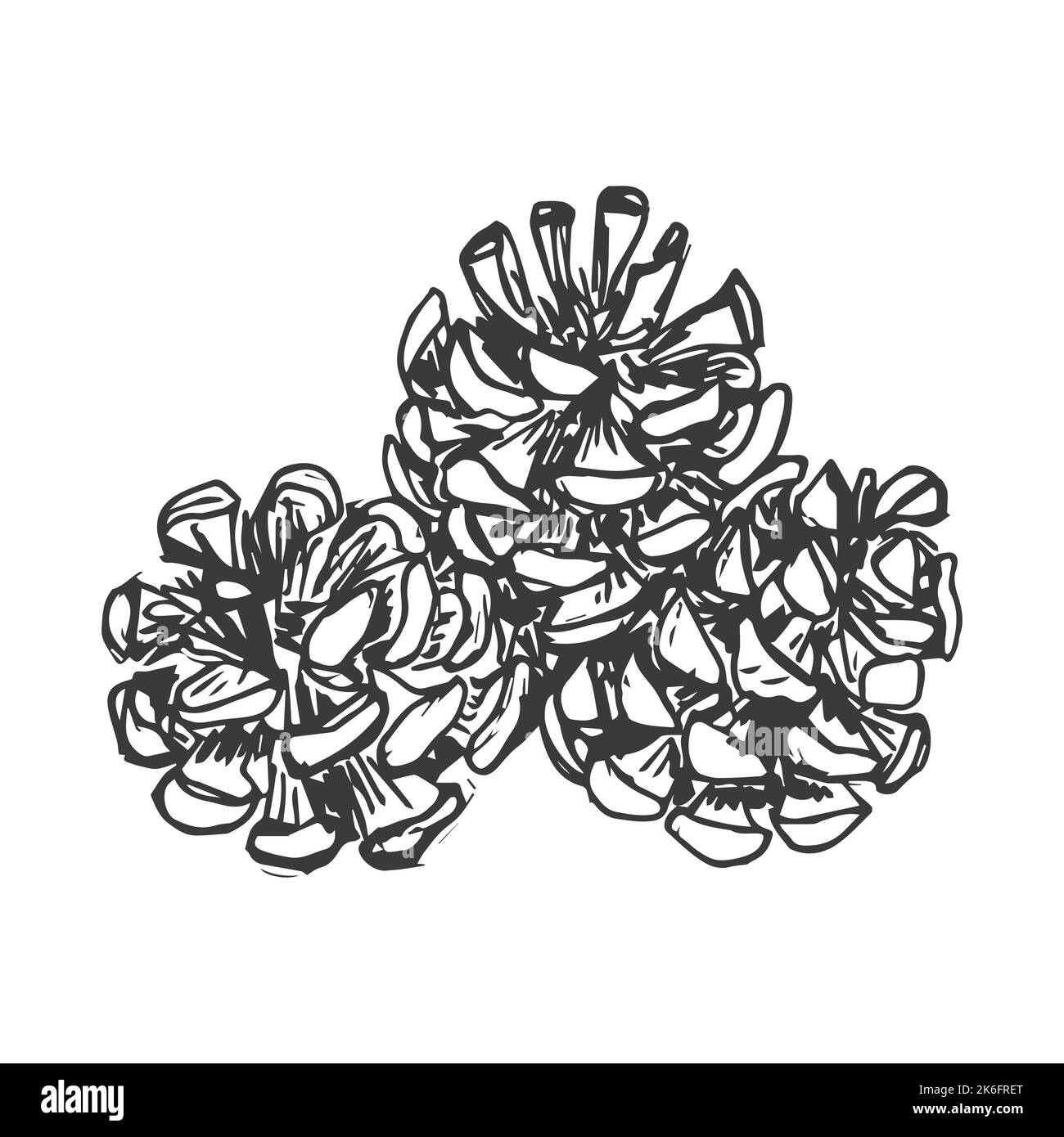 Kegel auf einer Zweigstelle, handgezeichnet, Design-Elemente für Einladungen, Grußkarten, Zitate, Blogs, Poster, Drucke. vektorgrafik Stock Vektor
