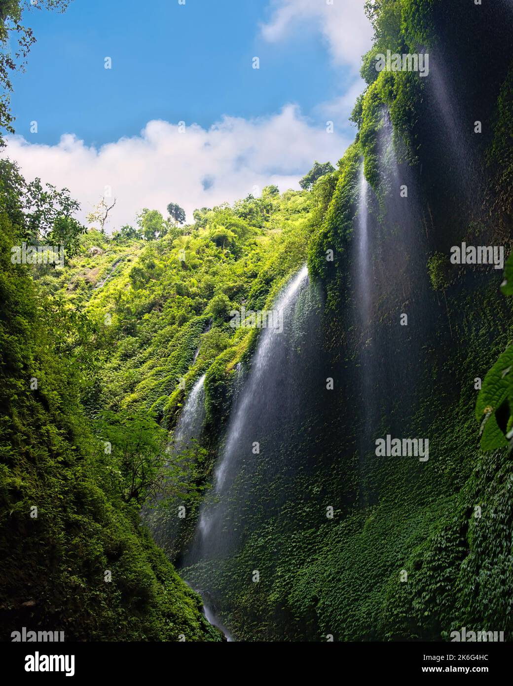 Air Terjun Madakaripura Wasserfall in Probollingo, Ost-Java Stockfoto
