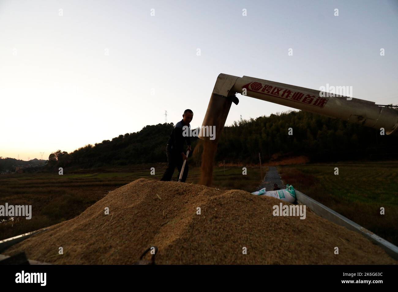 CHENZHOU, CHINA - 13. OKTOBER 2022 - Dorfbewohner laden auf der Familienfarm in der Stadt Chenzhou, Provinz Hunan, China, einen Lastwagen mit geerntetem Reis, 13. Oktober 20 Stockfoto