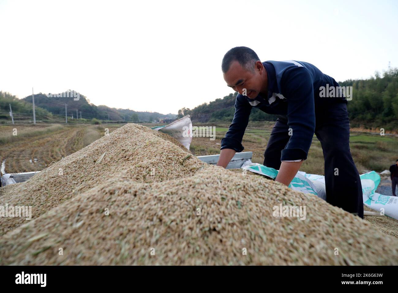 CHENZHOU, CHINA - 13. OKTOBER 2022 - Dorfbewohner laden auf der Familienfarm in der Stadt Chenzhou, Provinz Hunan, China, einen Lastwagen mit geerntetem Reis, 13. Oktober 20 Stockfoto