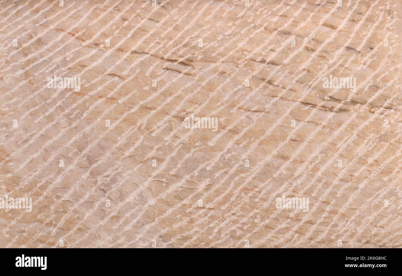 Oberfläche eines hellbraunen Natursteins mit weißen Linien Stockfoto