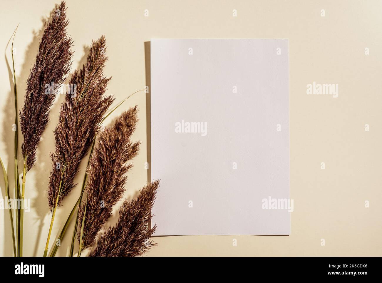 Leeres vertikales Papier A4, Einladungsmockup, flaches Lay. Trockenes Gras, Sonnenlicht. Beigefarbener Tischhintergrund. Mockup mit leerem leerem leerem Papier und getrockneten Pampas Gras Stockfoto