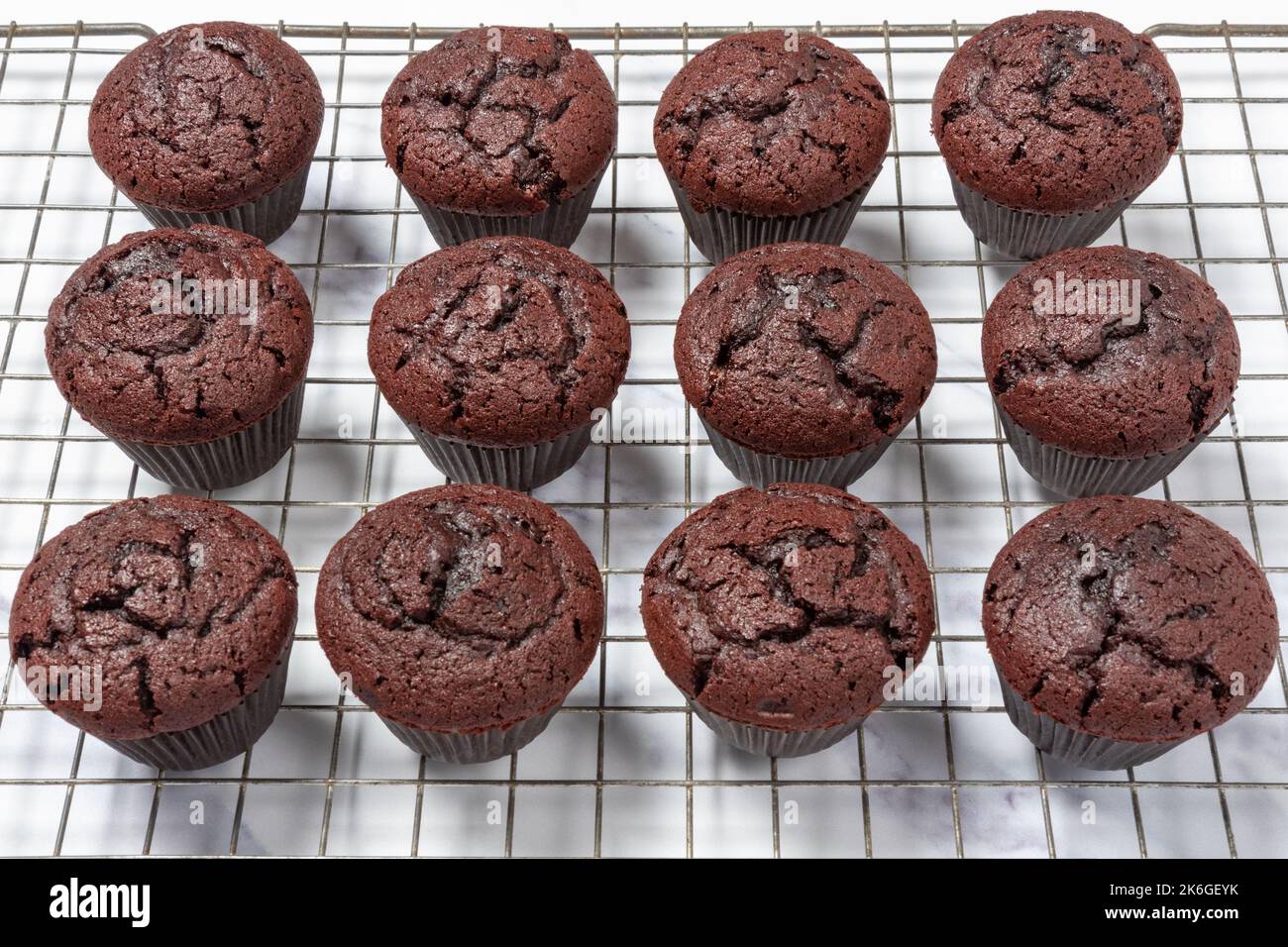 Cupcakes aus Schokolade, Kühlung auf Drahtgitter Stockfoto