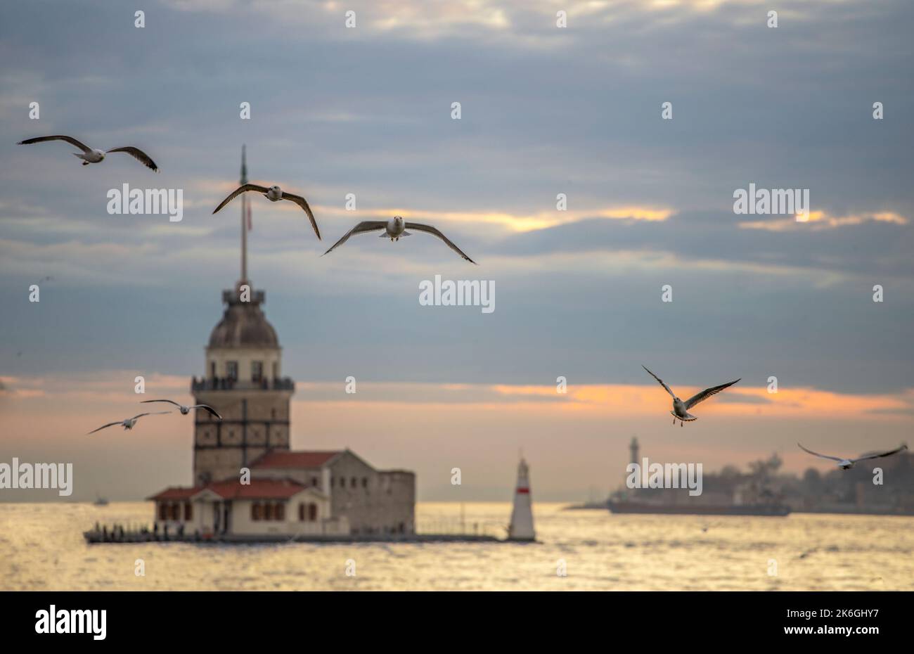 Möwen und Maiden Tower bei Sonnenuntergang, Istanbul. Stockfoto