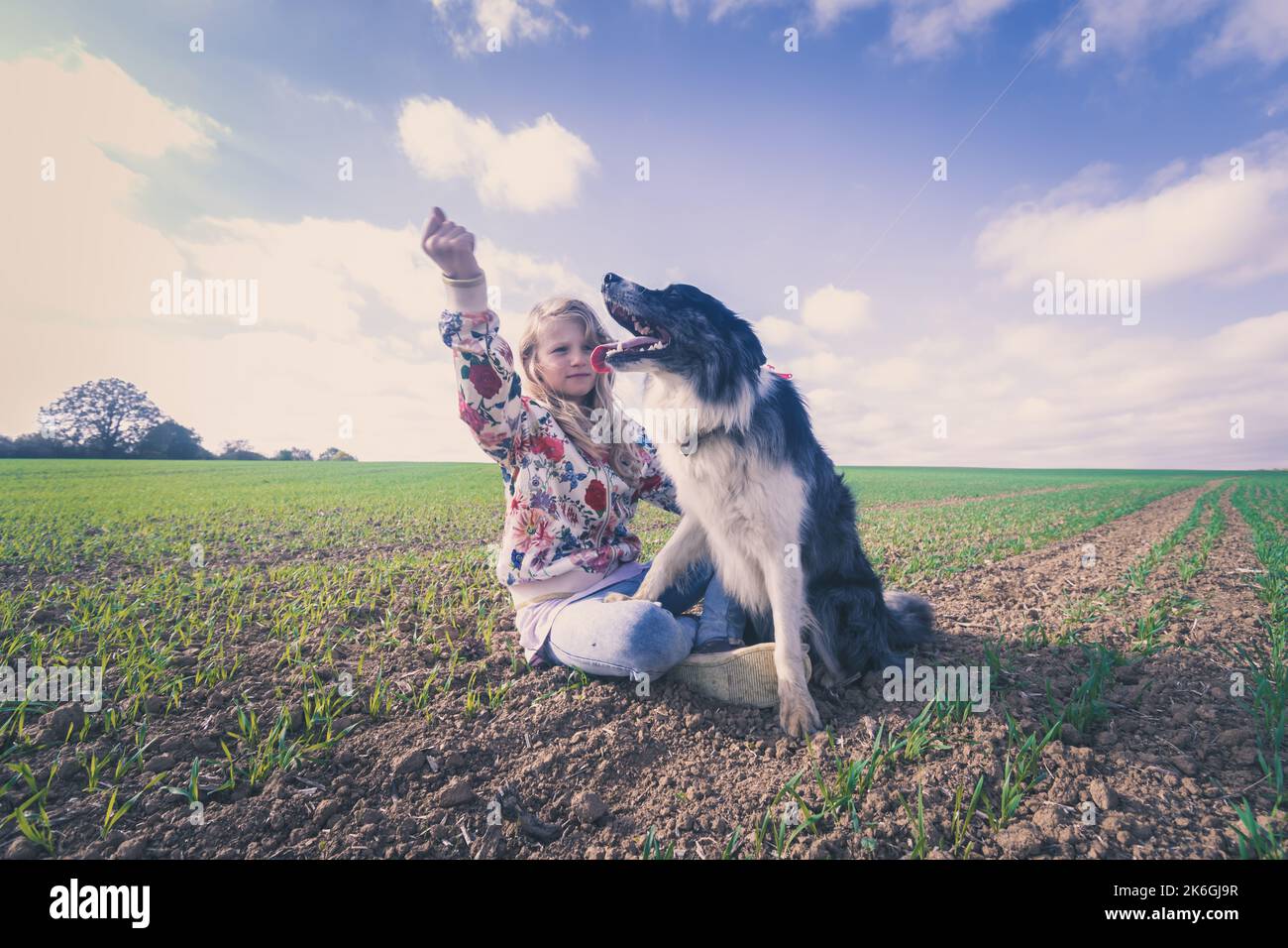 Freundschaft von Mädchen und Hund in der schönen ländlichen Landschaft in magischer Zeit Stockfoto