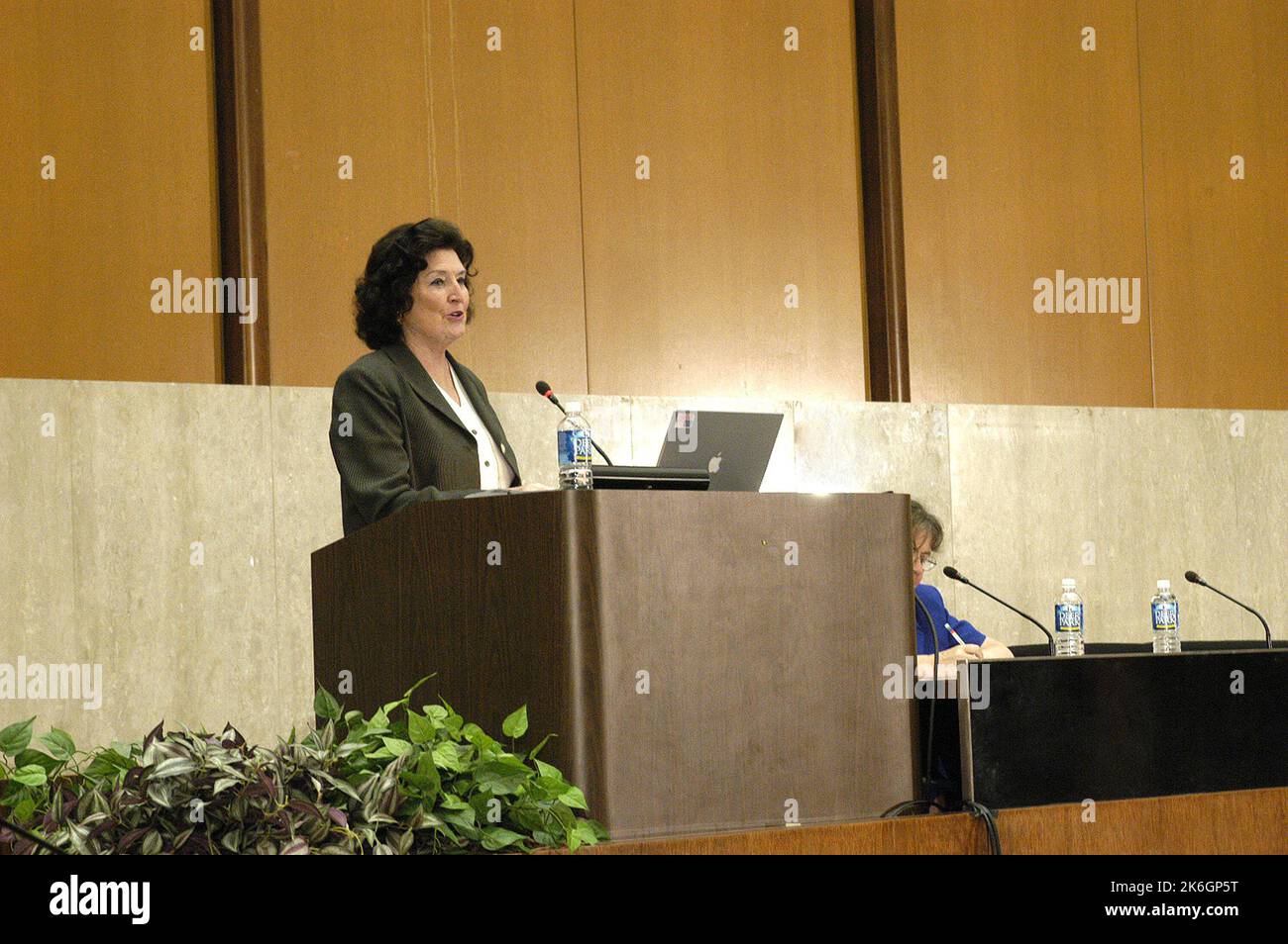 Präsentation, im Loy Henderson Auditorium, über das Mentoring-Programm des öffentlichen Dienstes der Abteilung Stockfoto