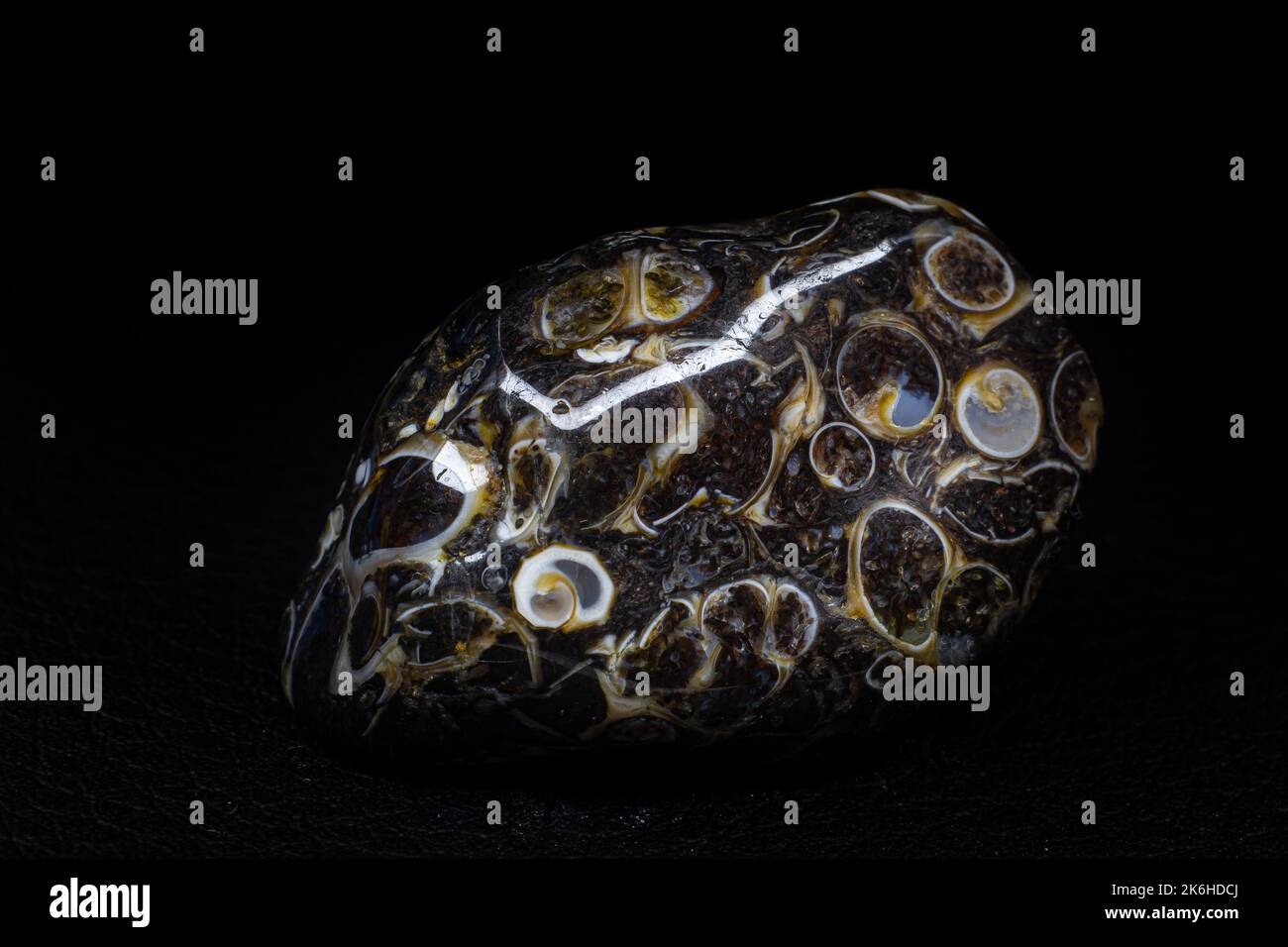 Echtes Turitella Achat Stein Makro auf schwarzer Lederoberfläche isoliert Stockfoto