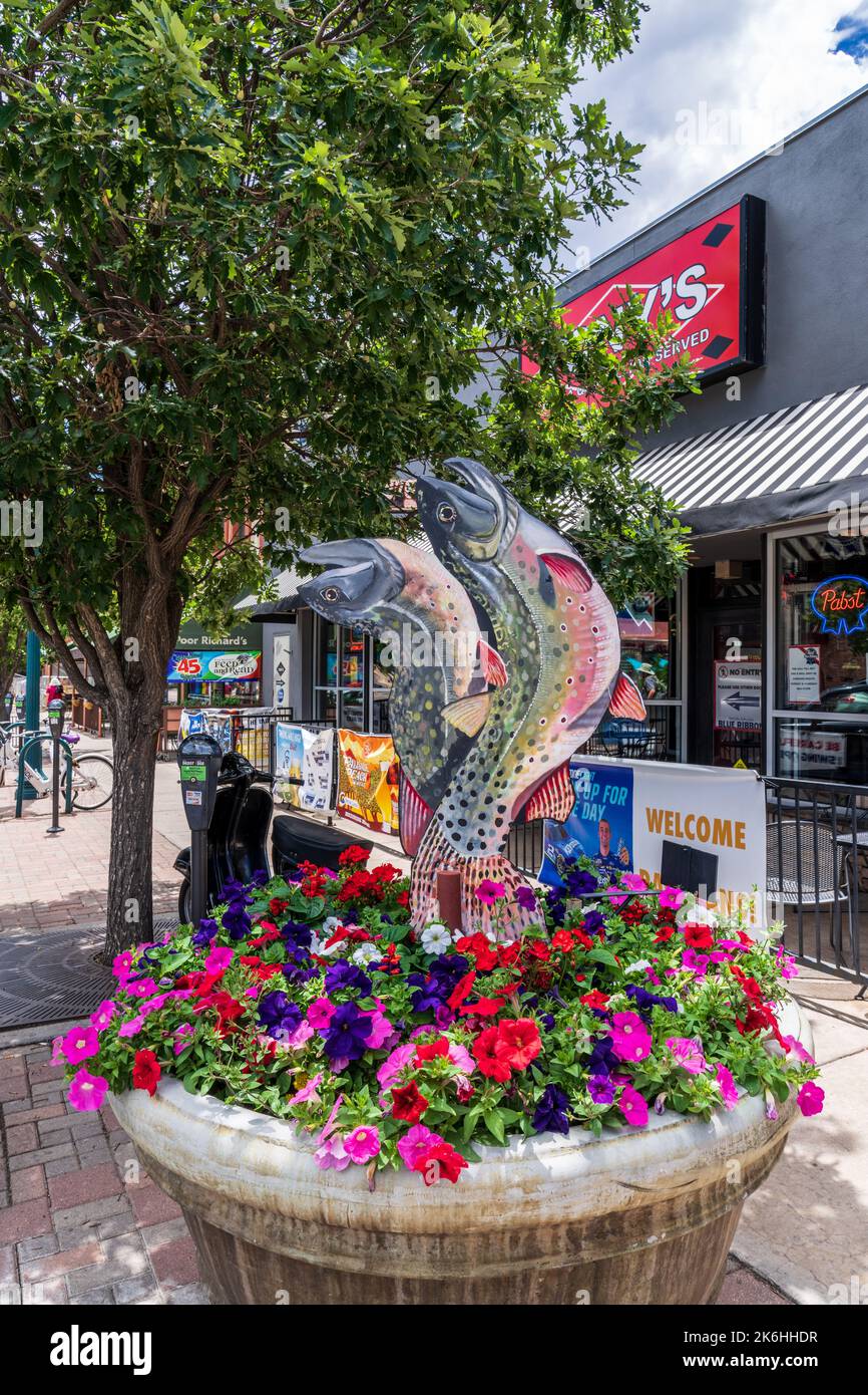Colorado Springs, CO - 3. Juli 2022: Greenback Cutthroat Forelle von Kim Polomka ist im Downtown Ventures ArtSpot Programm und sitzt in einem großen Pflanzer Stockfoto