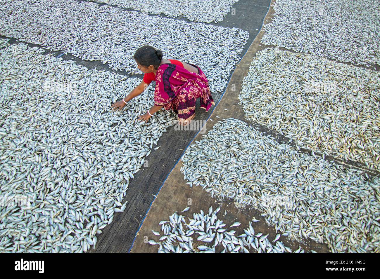 Frauen verarbeiten kleine Fische für den Trockenfischhandel. Arbeiter schneiden und reinigen die Fische, fügen Salz hinzu und trocknen sie dann auf einer Bambusplattform. Stockfoto
