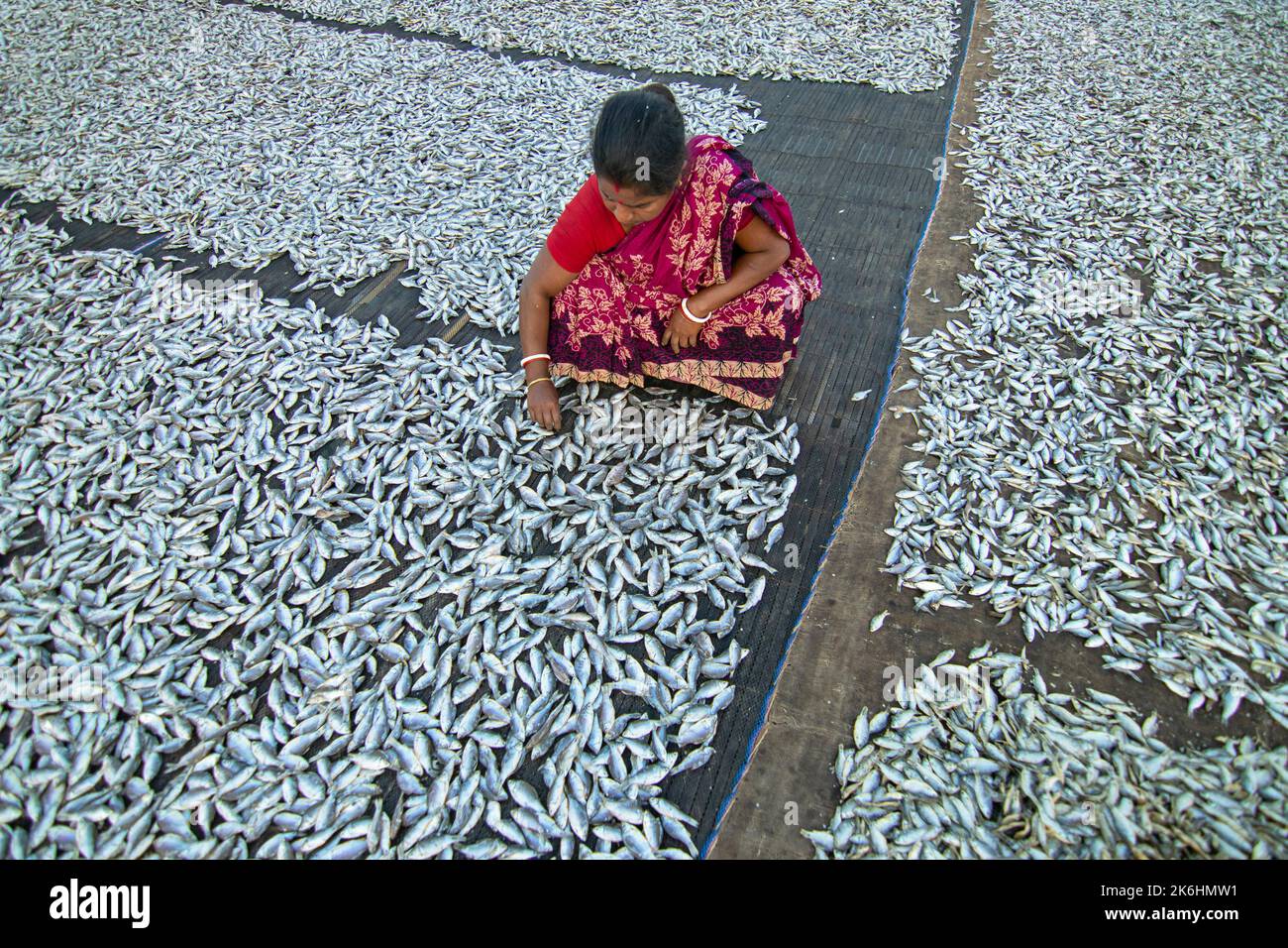 Frauen verarbeiten kleine Fische für den Trockenfischhandel. Arbeiter schneiden und reinigen die Fische, fügen Salz hinzu und trocknen sie dann auf einer Bambusplattform. Stockfoto