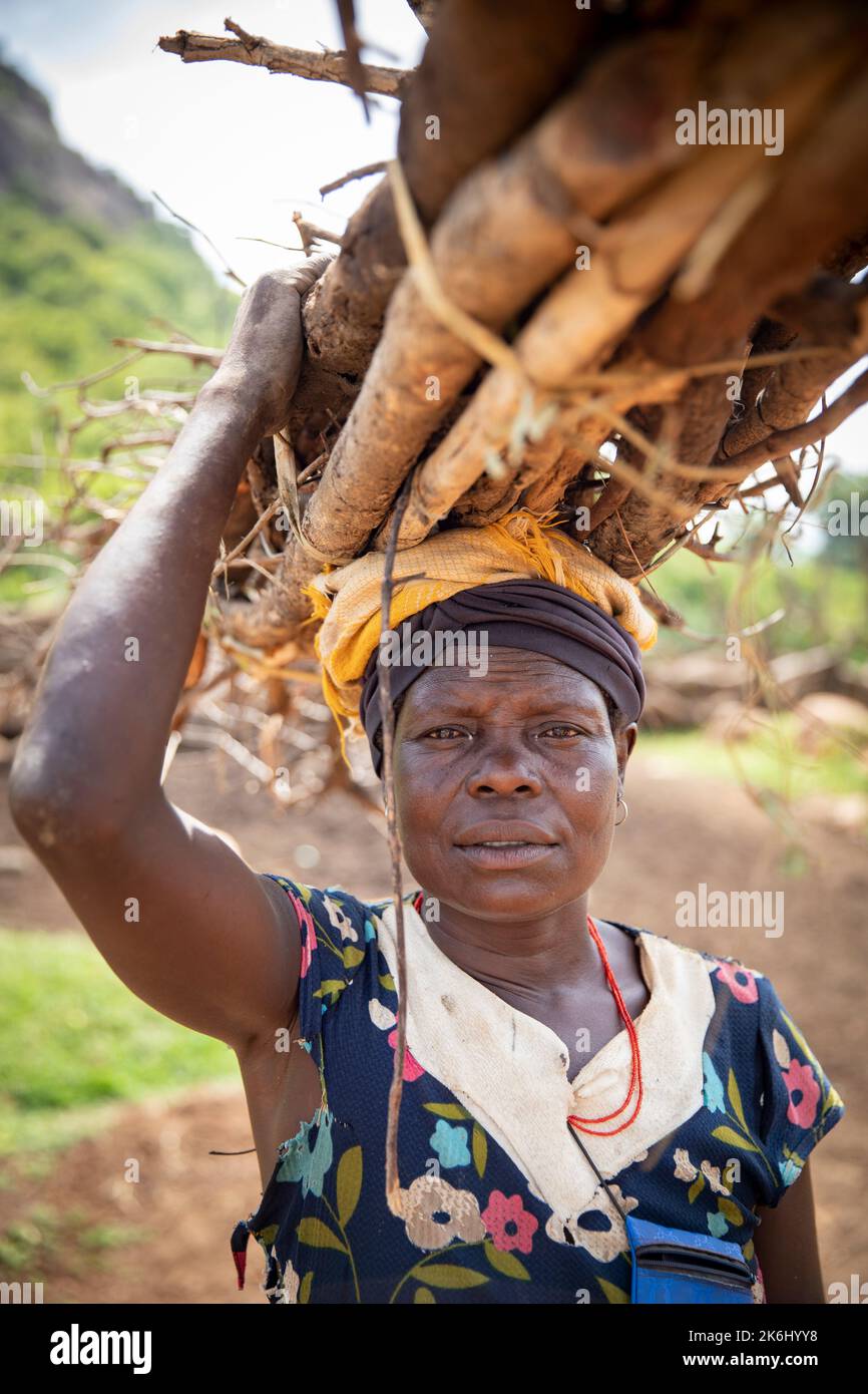 Eine Frau trägt im Distrikt Abim, Uganda, Ostafrika, ein Feuerholz-Paket auf ihrem Kopf. Stockfoto