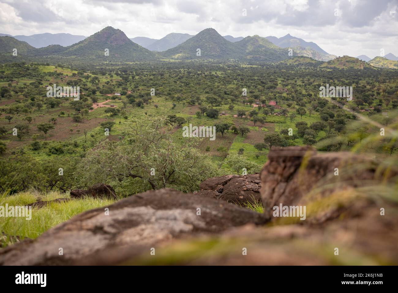 Grünes Tal unter den Hügeln des Distrikts Abim, Uganda, Ostafrika Stockfoto