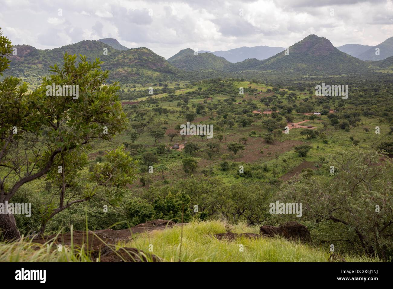 Grünes Tal unter den Hügeln des Distrikts Abim, Uganda, Ostafrika Stockfoto