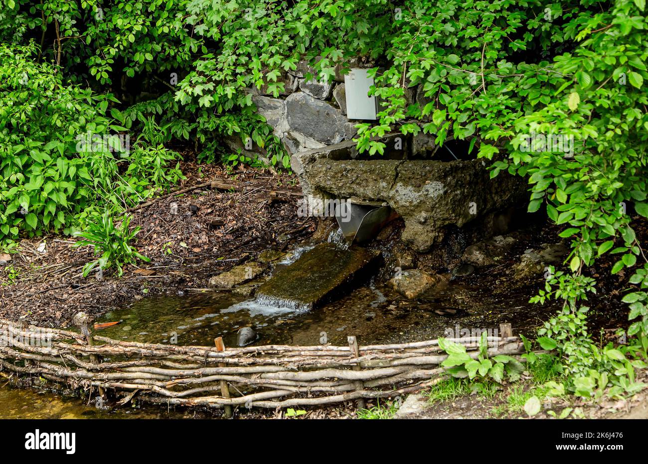 SOVATA, MURES, RUMÄNIEN – 29. MAI 2021: Frühling in der Nähe des Bärensees (Lacul Ursu) in Sovata Resort, Siebenbürgen, Rumänien. Stockfoto