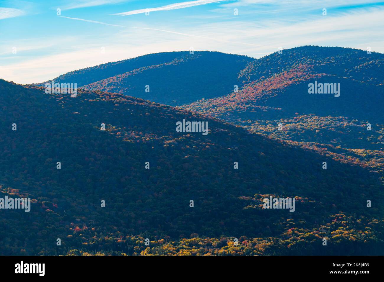 Schönen Wald mit bunten Blätter im Herbst im Nationalpark Stockfoto