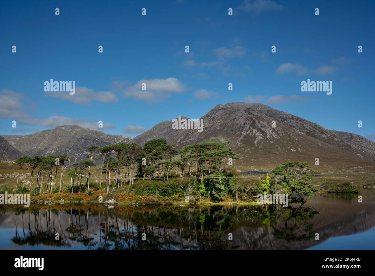 Pine Island, ein schöner fotogener Ort in der irischen Region Connemara, Irland Stockfoto