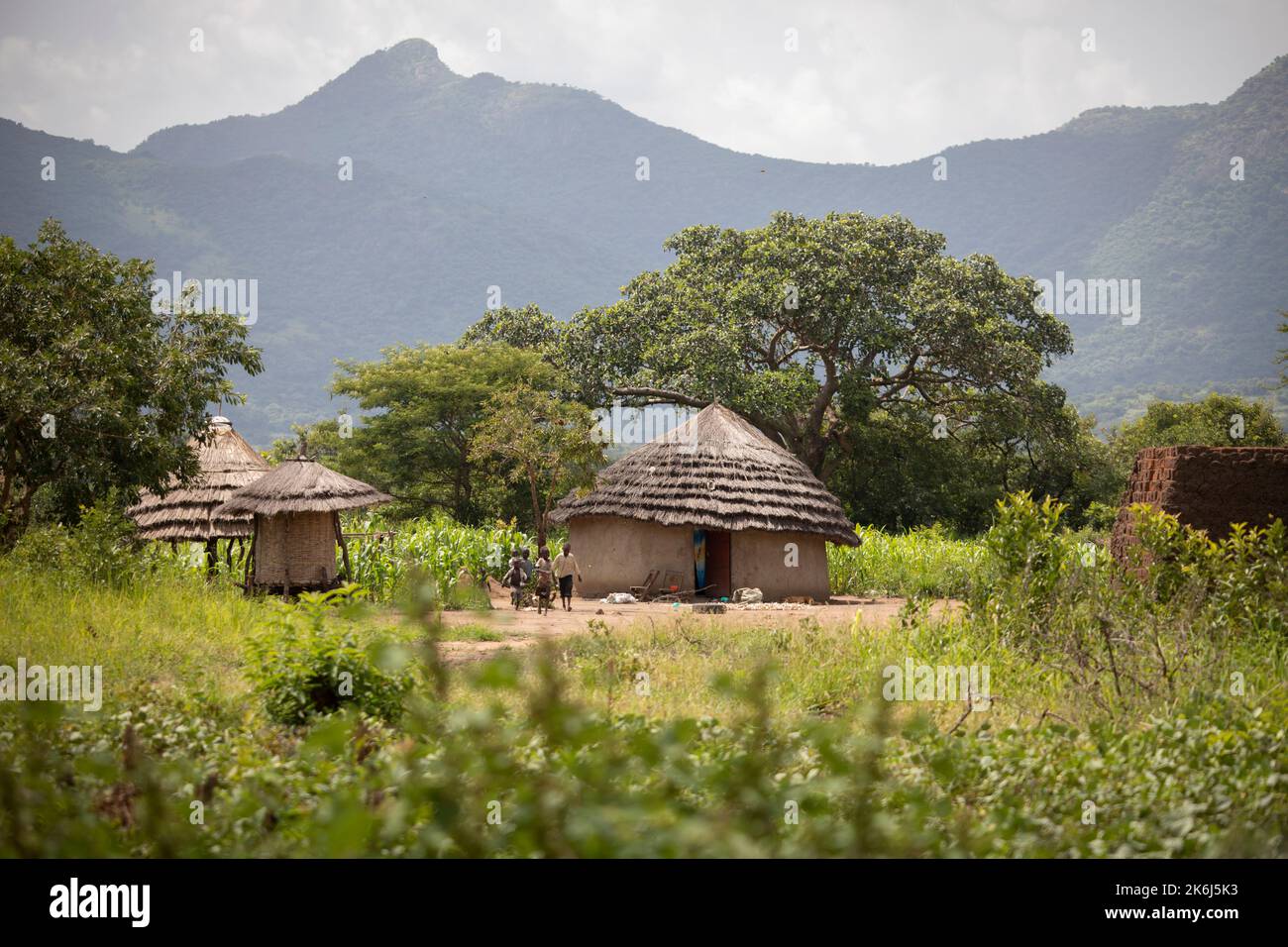 Wunderschöne Grasstrohschlammhäuser liegen in einem Tal unter den Hügeln und Bergen des Distrikts Abim, Uganda, Ostafrika. Stockfoto