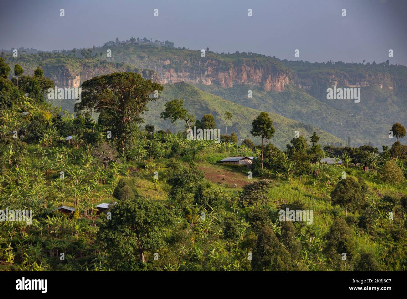 Schöne Dörfer und Ackerland auf dem Mount Elgon in Ostern Uganda, Ostafrika Stockfoto