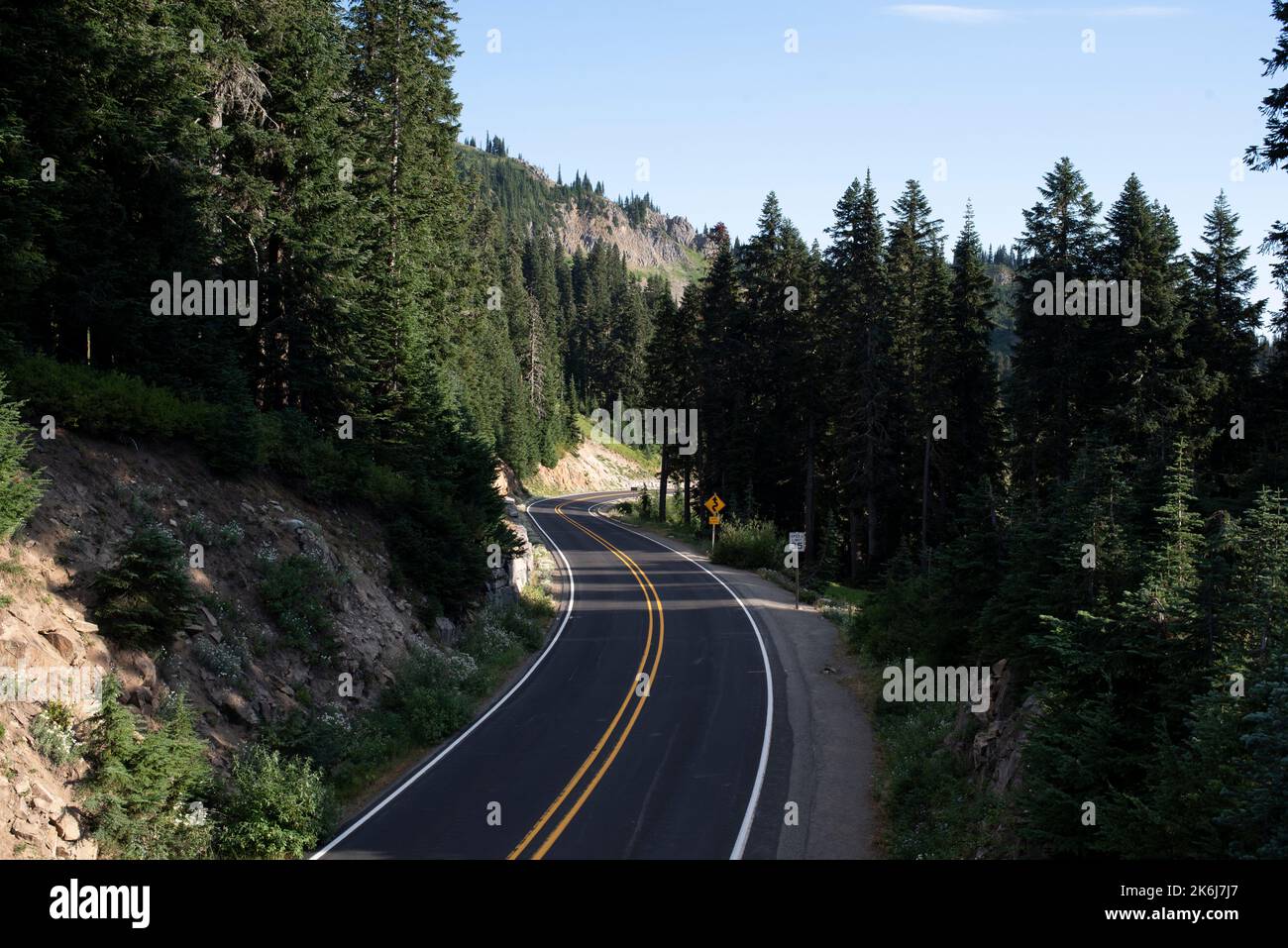 Bergautobahn schlängelt sich durch den Wald im Mount Rainier National Park Stockfoto