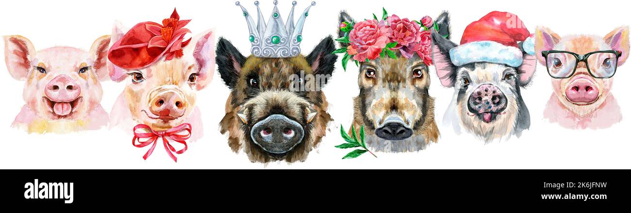 Niedliche Grenze aus Aquarell-Porträts von Schweinen. Aquarell-Illustration von Schweinen im Kranz von Sommerblumen, Weihnachtsmütze, Gläser und silberner Krone Stockfoto