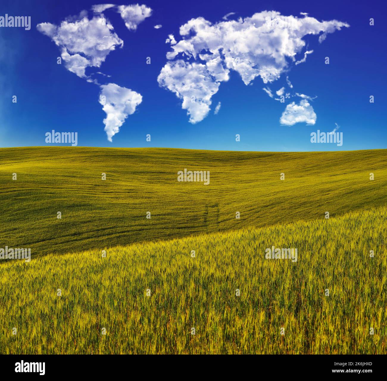 Wolken in Form einer Weltkarte über einem grünen Feld. Konzeptionelle Landschaft. Hügeliges Feld Stockfoto
