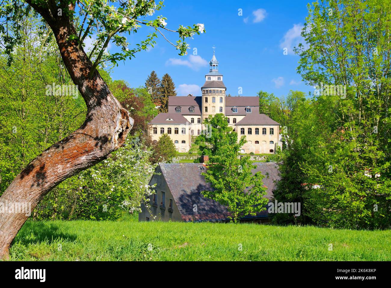 Zittauer Gebirge, der Hainewalde Palast im Frühjahr mit blühenden Apfelbäumen Stockfoto