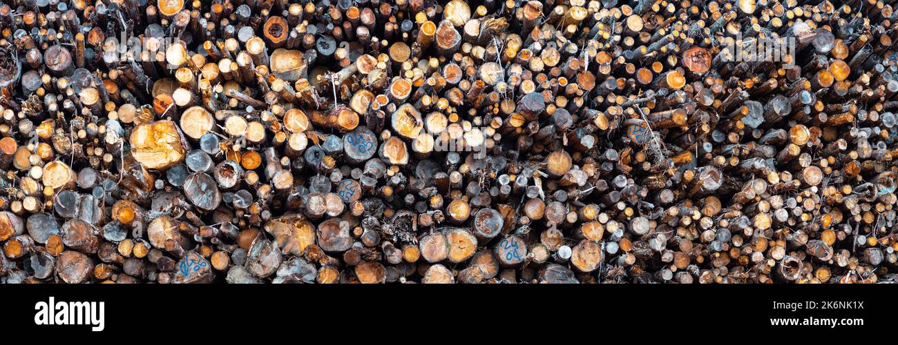 Panoramabild eines Brennholzstapels in der Nähe von Abtei in den Dolomiten Stockfoto