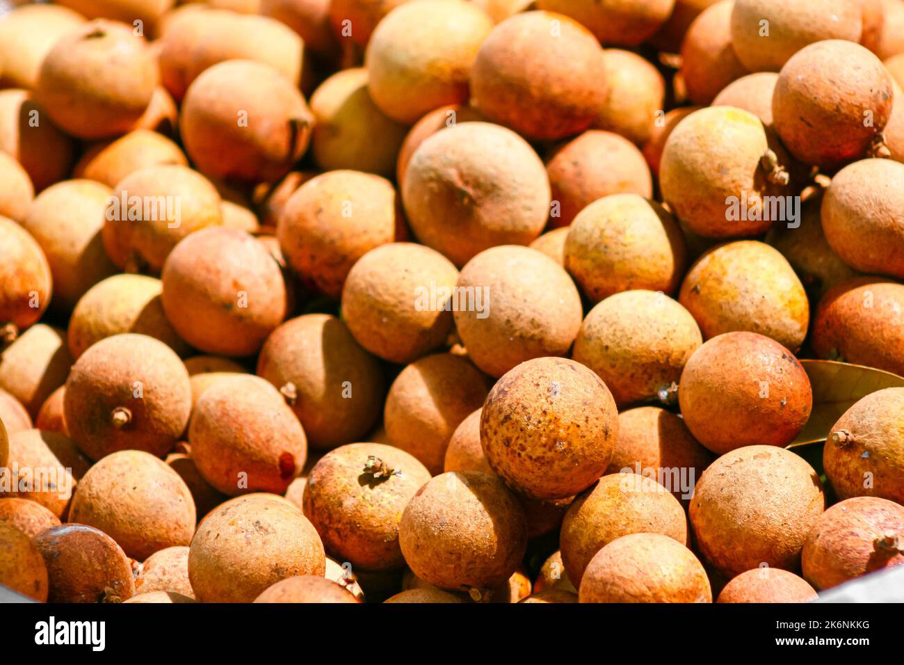 Gruppe von frischen Longan sind auf dem Markt verkauft Stockfoto