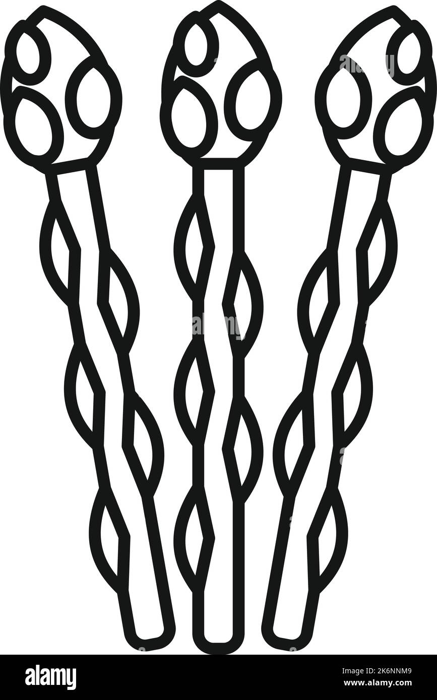 Vektor der ökologischen Spargelsymbole. Pflanzenbündel. Salat kochen Stock Vektor